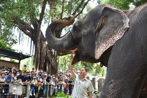 五一假期首日，深圳野生動(dòng)物園動(dòng)物科普講解吸引游客